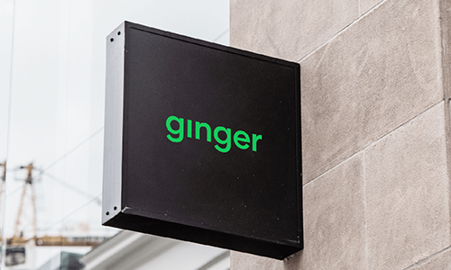 XMDS ACQUIRES GINGER